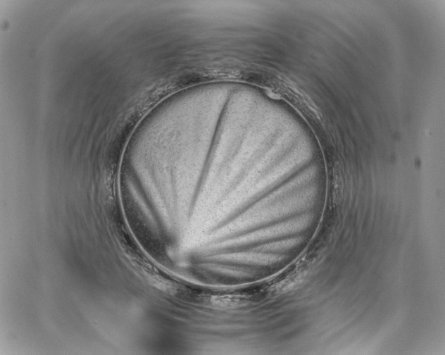 X0000066080641200603241433