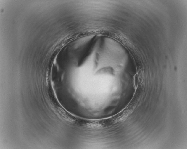 X0000066080644200603241433