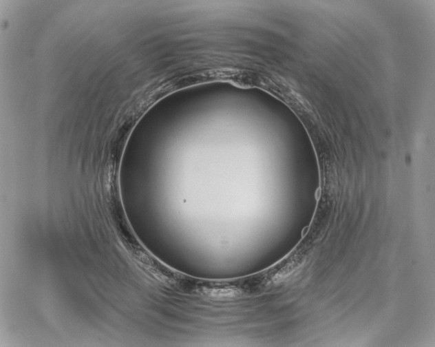 X0000066080645200603241433