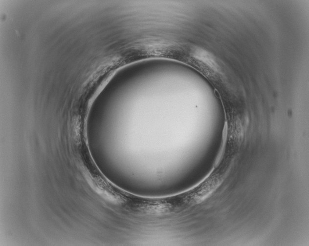 X0000066080646200603241433