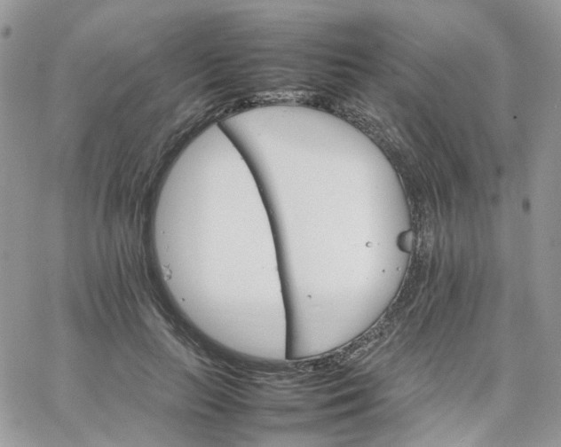 X0000066080647200603241433