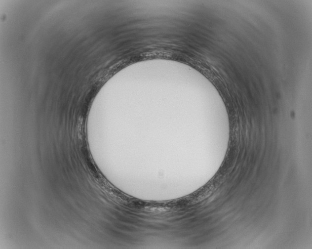 X0000066080649200603241433