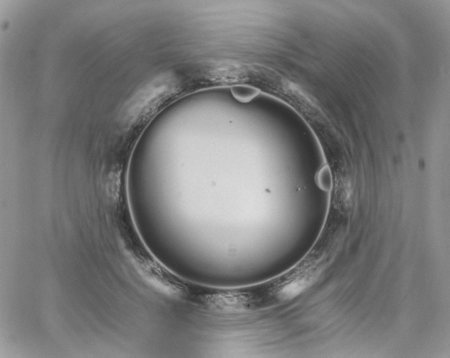 X0000066080652200603241433