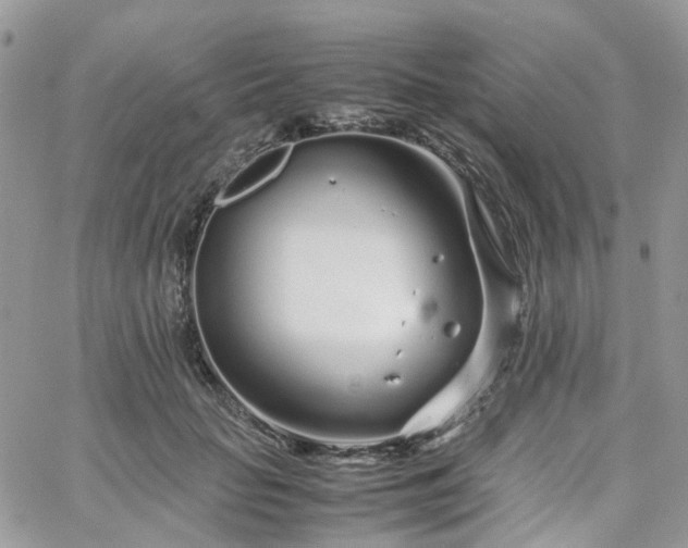 X0000066080653200603241433