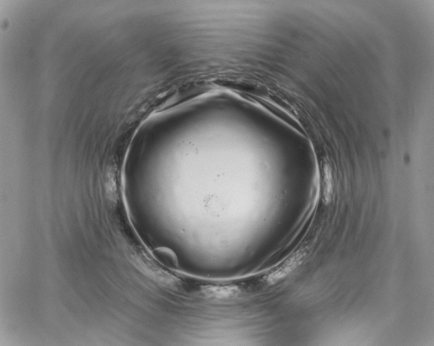 X0000066080654200603241433