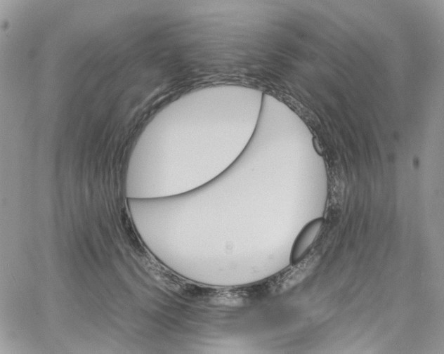 X0000066080656200603241433