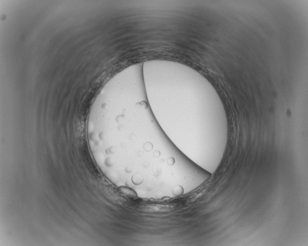 X0000066080657200603241433