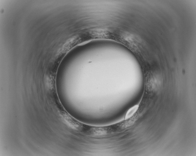 X0000066080658200603241433