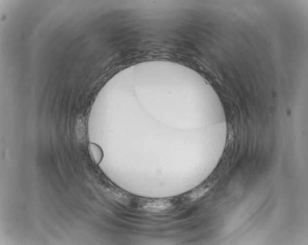 X0000066080659200603241433