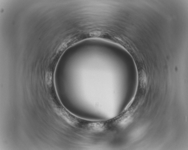 X0000066080660200603241433