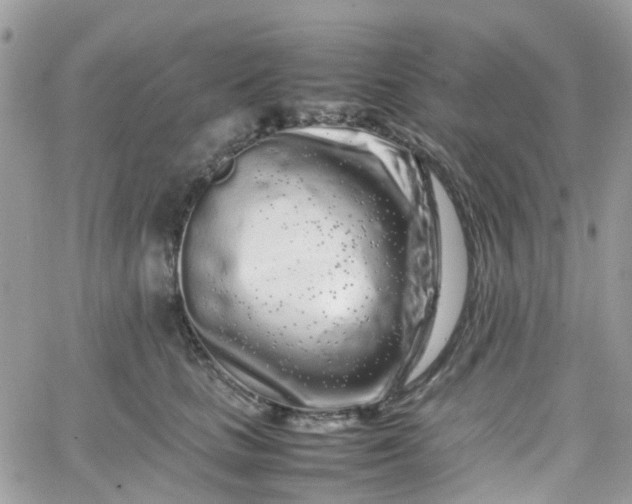 X0000066080661200603241433