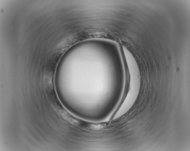 X0000066080662200603241433