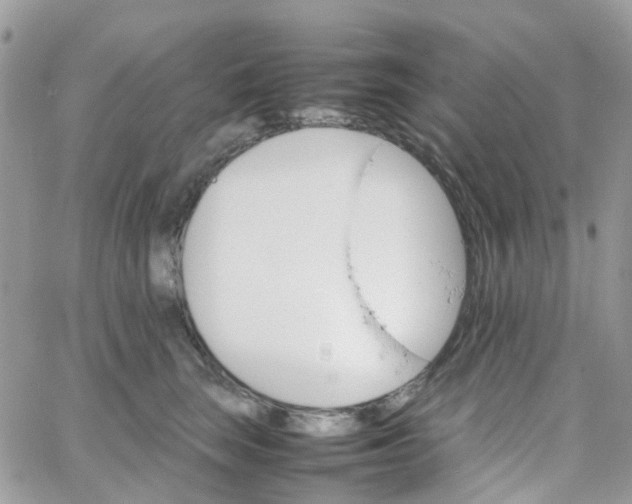 X0000066080663200603241433