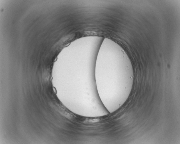 X0000066080665200603241433