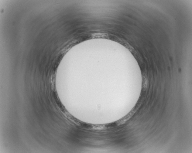 X0000066080666200603241433