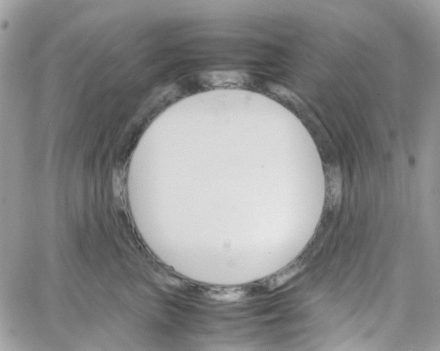 X0000066080667200603241433