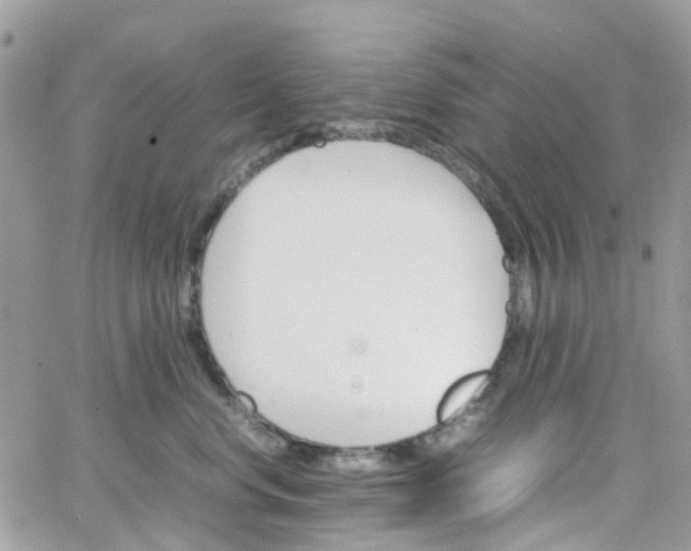 X0000066080668200603241433