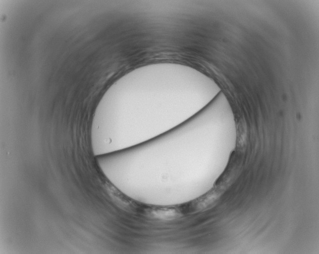 X0000066080669200603241433