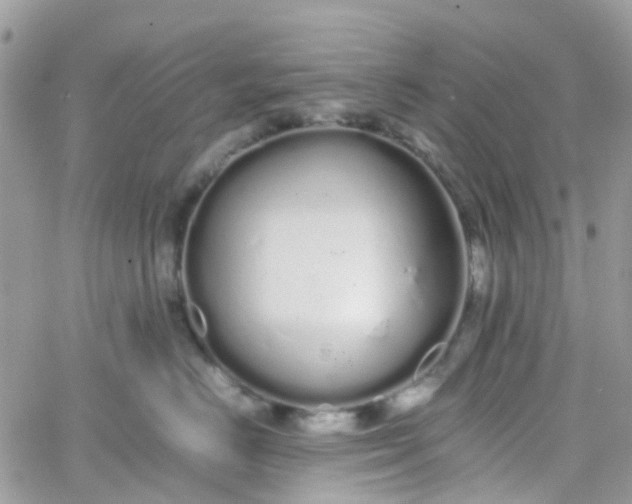 X0000066080670200603241433