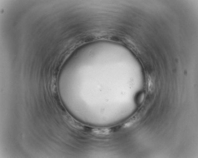 X0000066080671200603241433