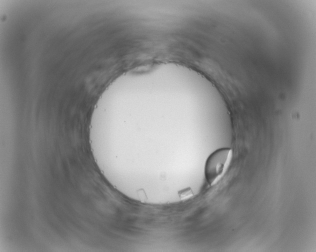 X0000066080672200603241433