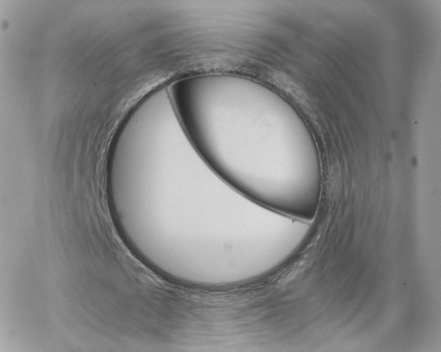 X0000066080673200603241432