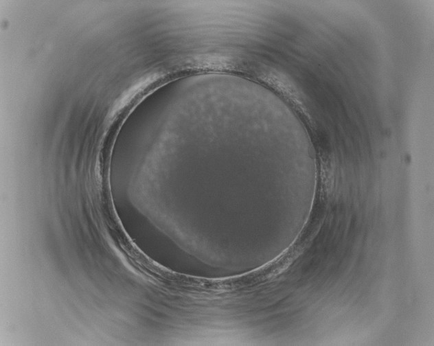 X0000066080674200603241432