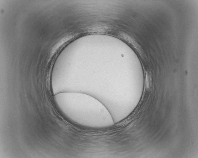 X0000066080675200603241432