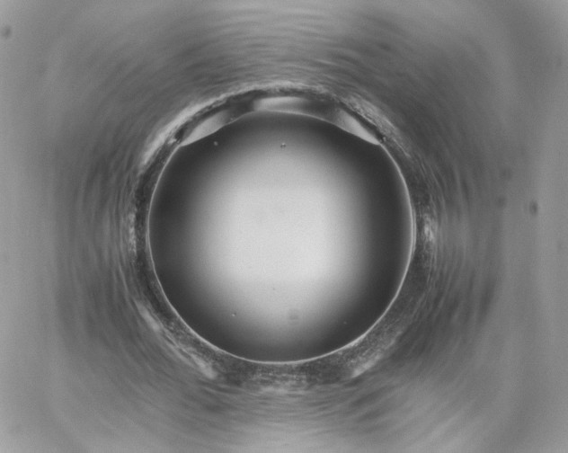 X0000066080676200603241432