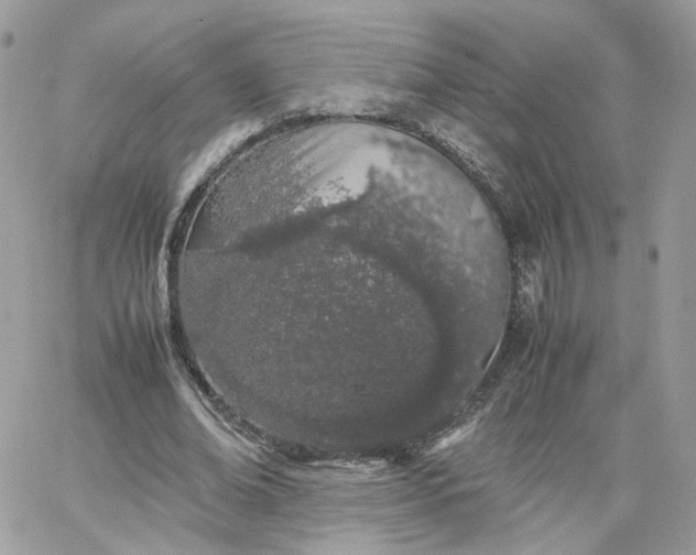 X0000066080678200603241432