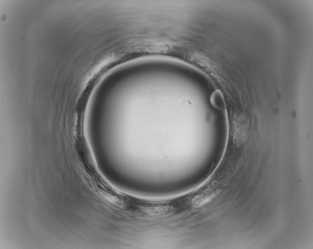 X0000066080679200603241432