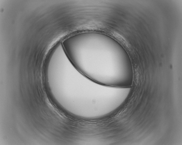 X0000066080680200603241432