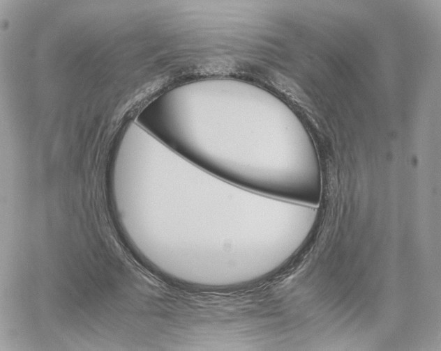 X0000066080681200603241432