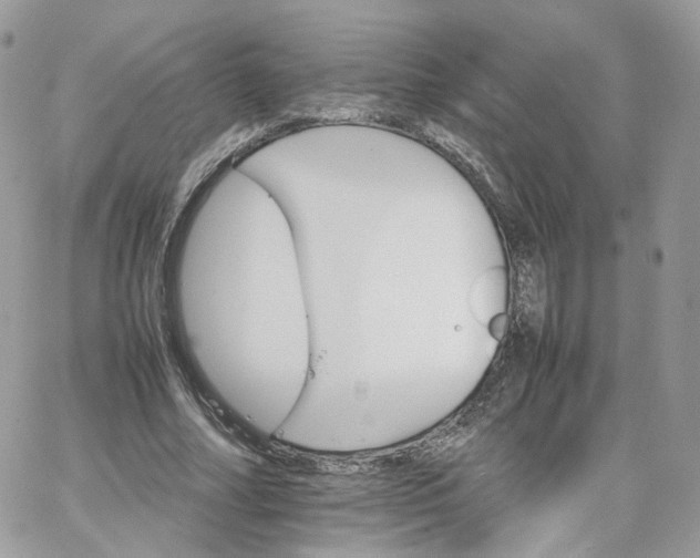 X0000066080682200603241432