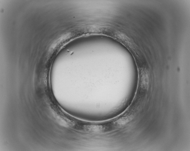 X0000066080683200603241432