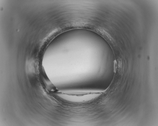 X0000066080684200603241432