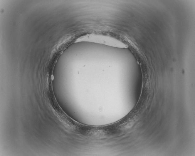 X0000066080685200603241432