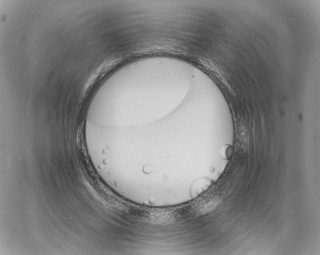 X0000066080686200603241432