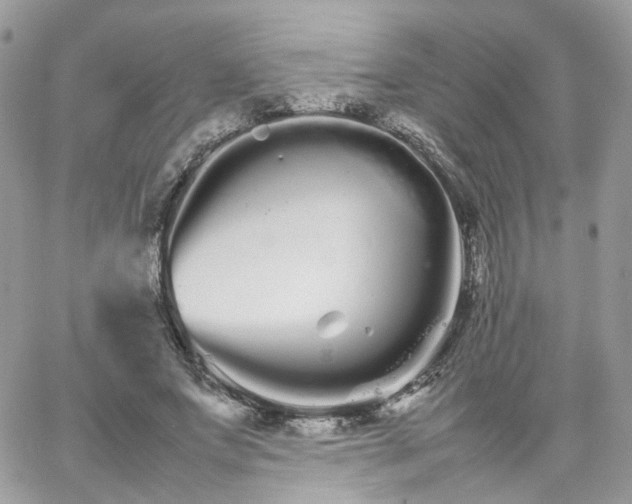 X0000066080687200603241432