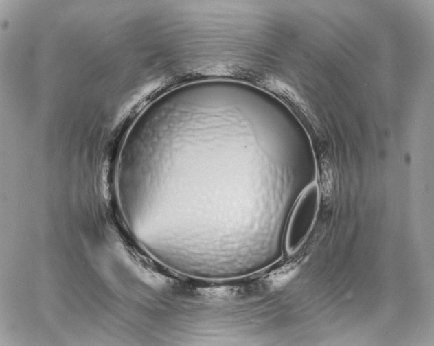 X0000066080688200603241432