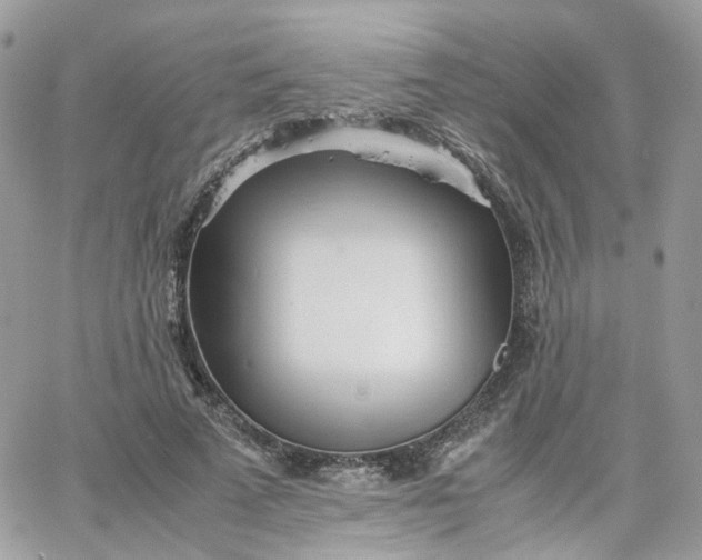 X0000066080689200603241432