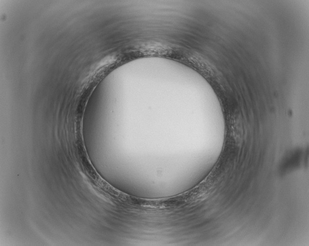 X0000066080690200603241432