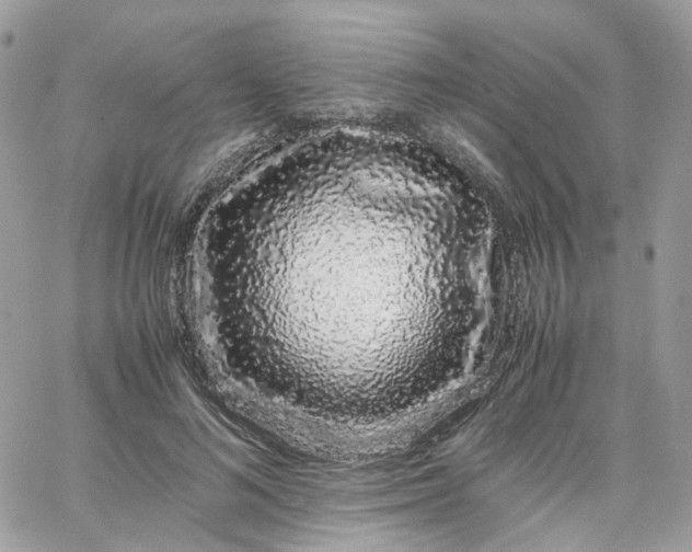 X0000066080692200603241432