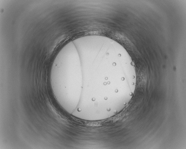 X0000066080694200603241432