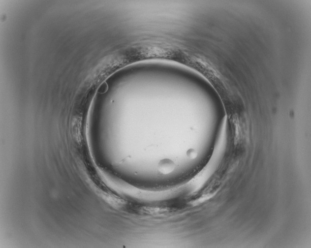 X0000066080695200603241432