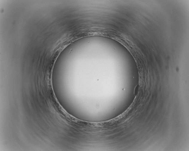 X0000066080696200603241432