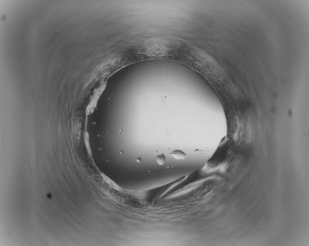 X0000066080697200603241432