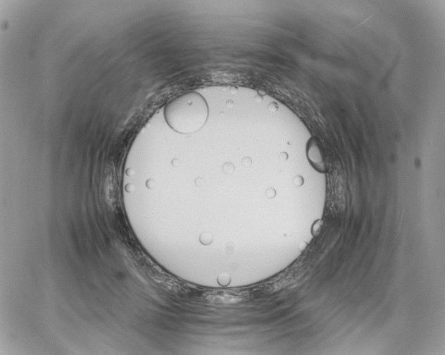 X0000066080698200603241432