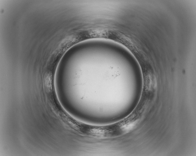 X0000066080699200603241432