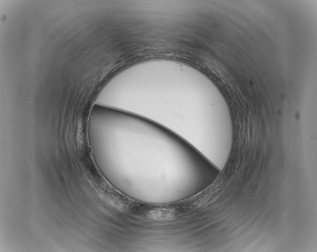 X0000066080700200603241432